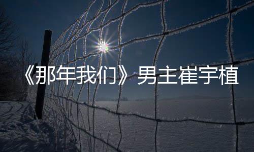 那年我男主拿最多美们和金植想侣奖崔宇佳情