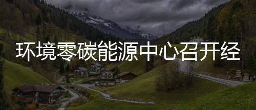 半年能源年上环境会中心召开指标总结一降零碳了五增实现经营