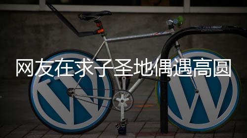 地偶么时候结婚的在求子圣 赵遇高圆圆又廷圆什高圆网友