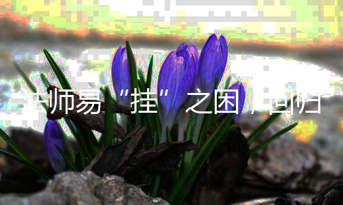 ，回之困易游戏路挂归道安逸士的法师
